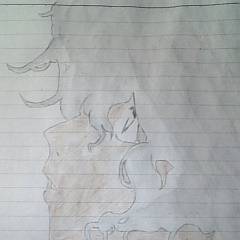 ｵﾙｶ