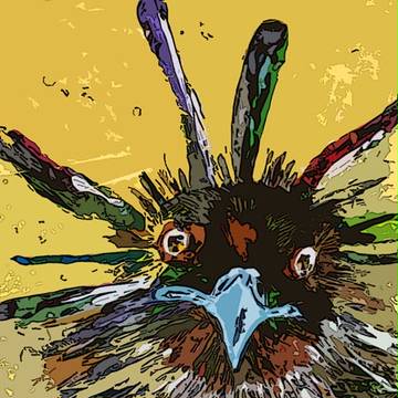 色鳥々（いろとりどり）～携帯の待ち受け風ヴァージョン～