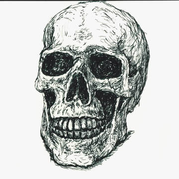 骨