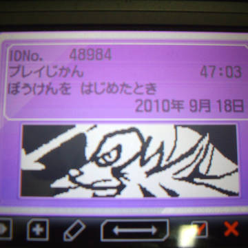 ダイケンキ描いてみた