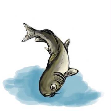 ただ鯉を描いてみた