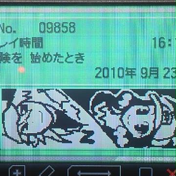 トレーナーカード