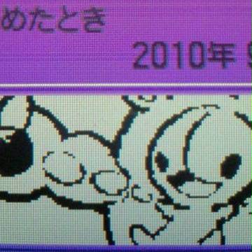 ランクルスさん