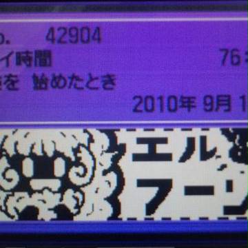 トレーナーカード