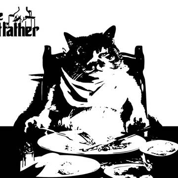 The Catfather