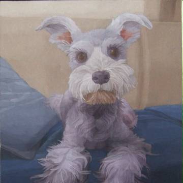 犬