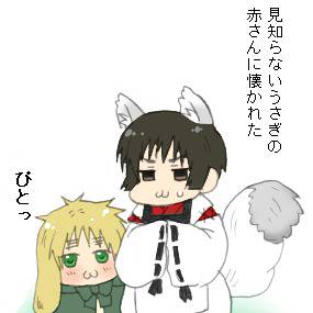 【腐向けヘタリア】兎アサ×狐菊