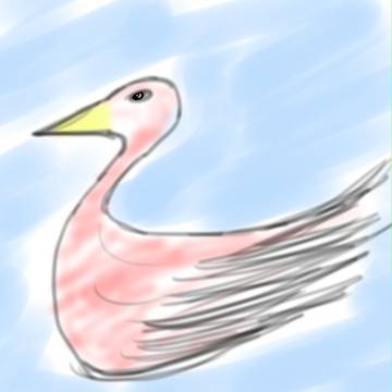 鳥