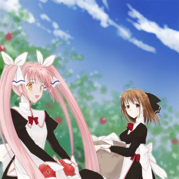 家付き妖精さん