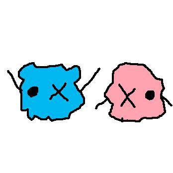 sugar・mof
