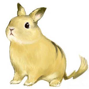 ピカチュウ