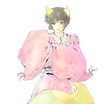 菊狐