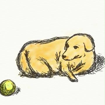 犬とボール