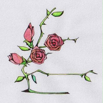 薔薇