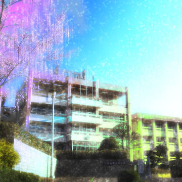 高校