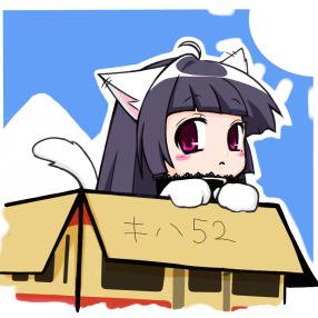 箱入り娘
