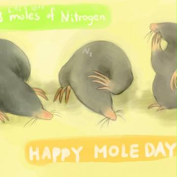 Mole Day