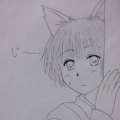 子狐菊は見た!【ヘタリア】