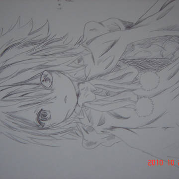 テガミバチ　ラグ描いた。