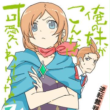 俺の妹・・・だと！？