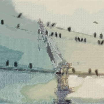 カラス～