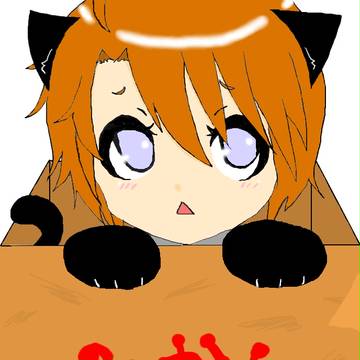 黒猫