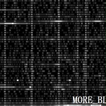 MORE_BLOXES