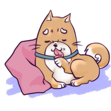ハァハァペロペロ