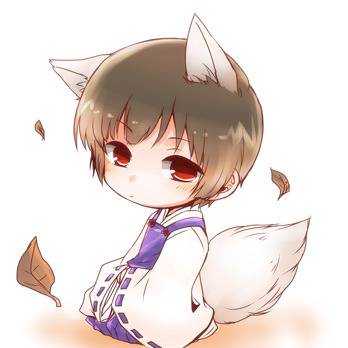 狐