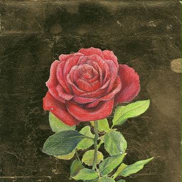 バラ薔薇ばら