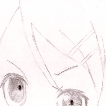 ためしがき