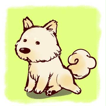 うちのわんこ
