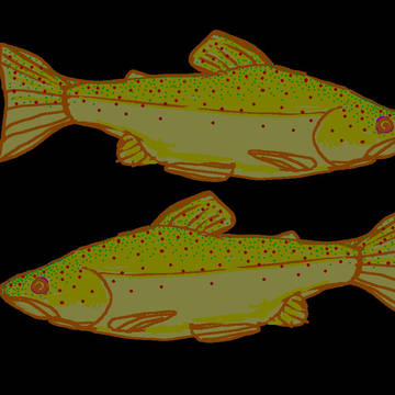 Fish1
