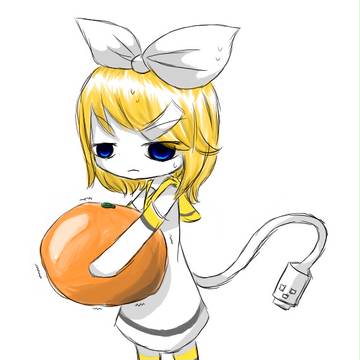 USB rin