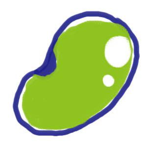そらまめ