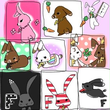 うさぎの詰め合わせ