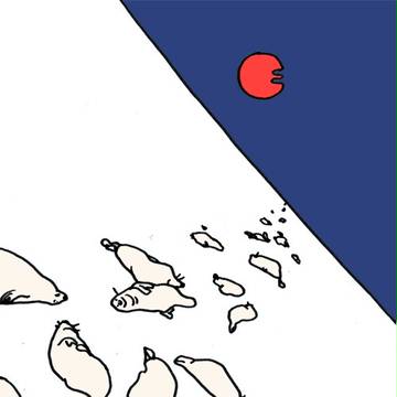 あざらし