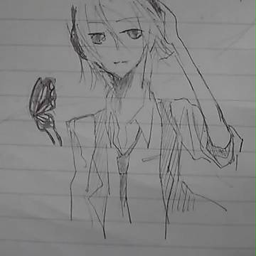 蝶々