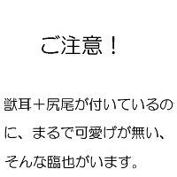 【腐】ペットの躾け【シズイザ】
