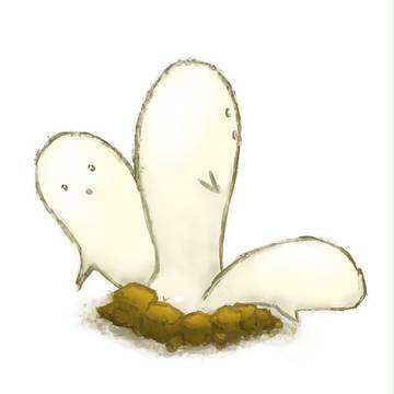 増殖