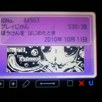 ああああああああああメノクラゲ可愛いよおおおおおお