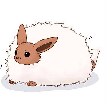 冬毛