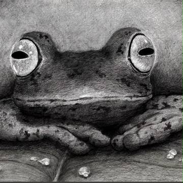 よっ（こらせ）