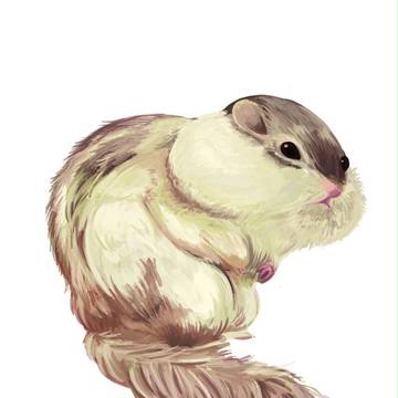 くちが、