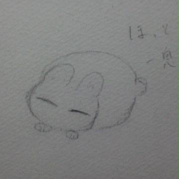 眠り兔
