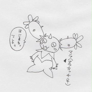流れ星、見た人いる？