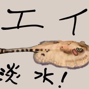 淡水エイ