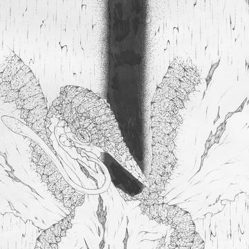 暗窟の霞龍