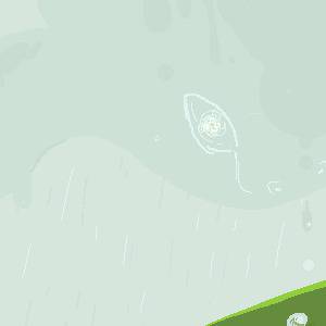 Morning rain