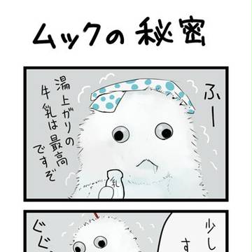 ムックの秘密